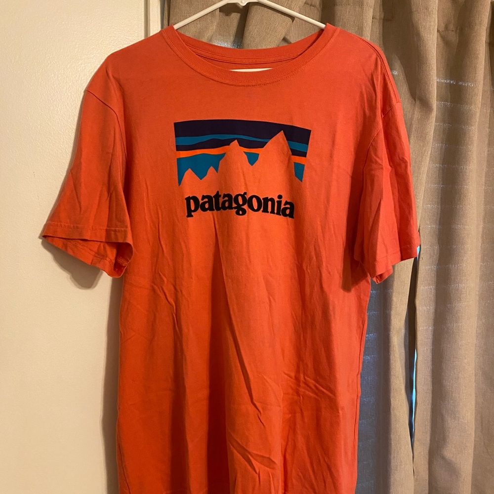 Patagonia tshirt